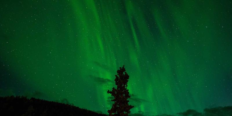 从动态到静态：后端开发者用Hugo/Gatsby重构技术博客的实战指南