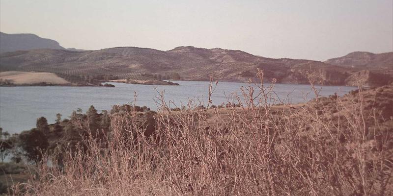 从链表到红黑树：数据结构实战解析与网络技术应用