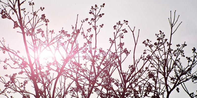 后端开发中的数据结构:构建高效软件系统的核心基石