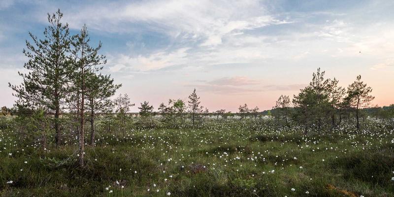 后端开发实战：巧用数据结构构建代码注入与数据泄露的坚固防线