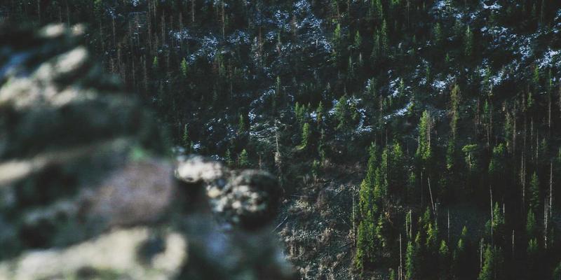 后端开发者的全球影响力：技术博客国际SEO策略与编程教程知识分享指南