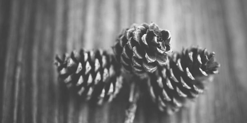 数据结构与后端开发：如何将技术博客高效分发至Dev.to、Medium等多平台