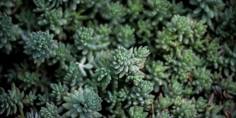 知识分享如何重塑前端开发者的网络技术成长路径