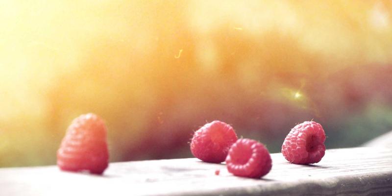 编程教程与软件开发中的版权指南：如何安全引用代码与内容进行前端开发