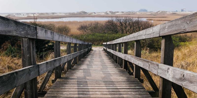 编程教程实战：为技术博客构建无障碍访问体验的前端数据结构与网络技术指南